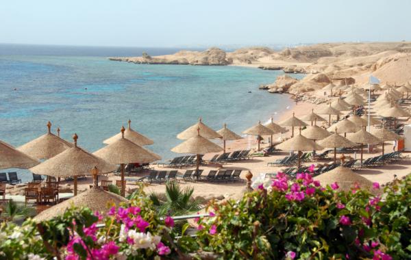 Цены на отдых в Египте в августе